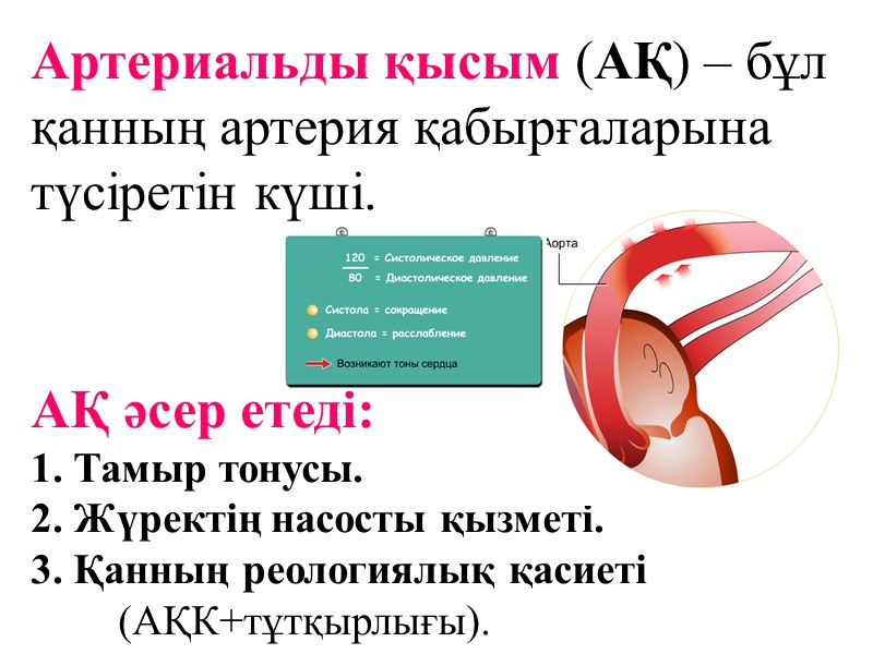 Артериальды қысым (АҚ) – бұл қанның артерия қабырғаларына түсіретін күші.   АҚ әсер